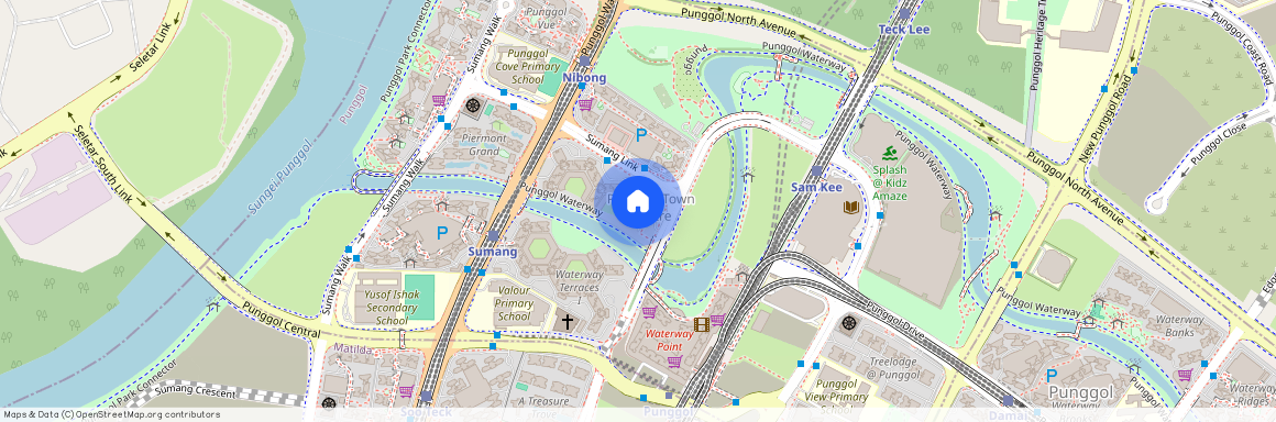 310A PUNGGOL WALK, 821310, Singapore