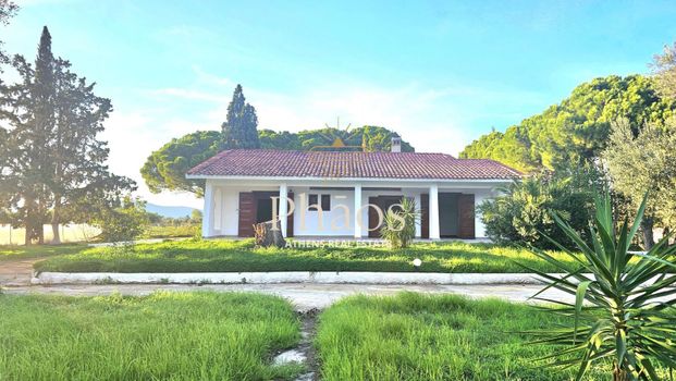 Μονοκατοικία για ενοικίαση Σχινιάς (Μαραθώνας) - Photo 1