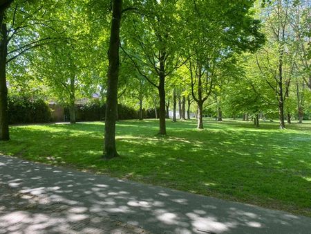 Te huur: Kamer Oude Dijk in Tilburg - Photo 2