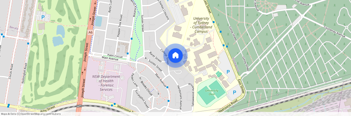 12 College Street, NSW 2141, Lidcombe