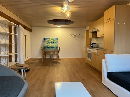 Attique de 2,5 pces - Photo 3