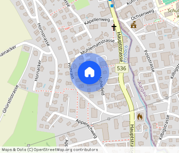 FAMILIENWOHNUNG IM GRÜNEN - Foto 1