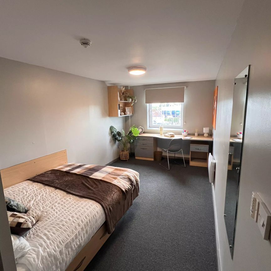 Premium Plus Ensuite - Photo 1