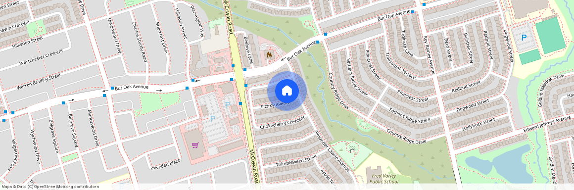 6 Fitzroy Avenue Unit# Basement, Markham