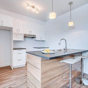 209 Rue Du Pirée (Plateau) Magnifique Logement 3,5 Dans Un Secteur Calme - Photo 3