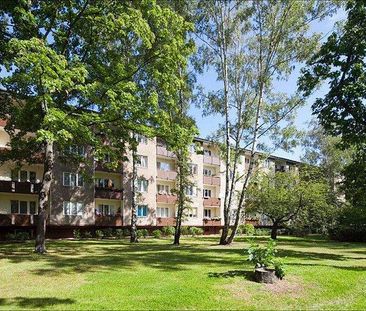 Mit Balkon und neuem Tageslichtbad - Foto 1