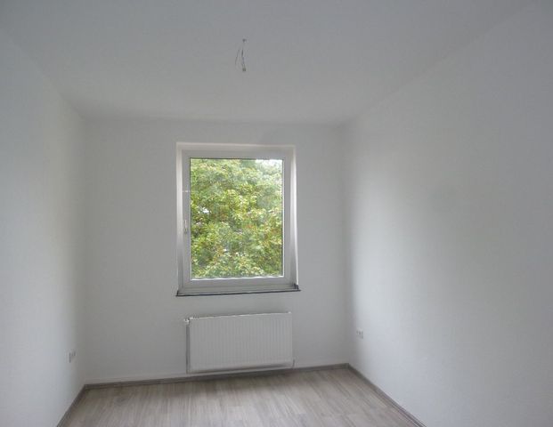 WG-geeignete 3-Zimmer-Wohnung Nähe Westpark zu vermieten! - Photo 1