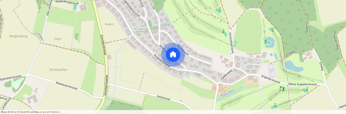 Altwingertstrasse, Lufingen, Zurich, 8426, Suisse