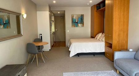 Studio Apartment Viaduct Location - Photo 3