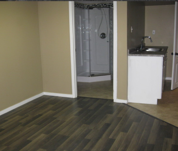 2 Bedroom Basement Suite in College Park - Photo 5