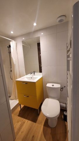Location Appartement 1 pièce 18m² - Photo 5