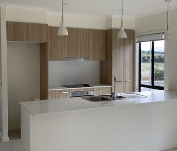 Modern Comfort in the Heart of Picturesque Mooloolah Valley - Photo 3