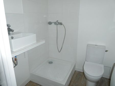 Location Appartement 1 pièce 15m² FONTAINEBLEAU 77300 - Photo 3