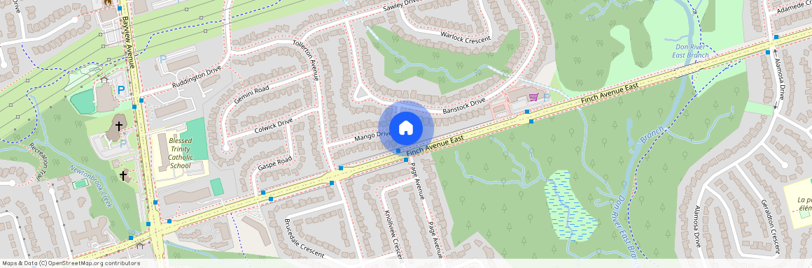 25 Mango Drive, Toronto