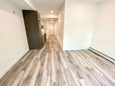 Edmonton Unfurnished apartment Rental in Queen Alexandra/Garneau - Modern Lower Level Suite Walking Distance to Whyte Ave! - Photo 3