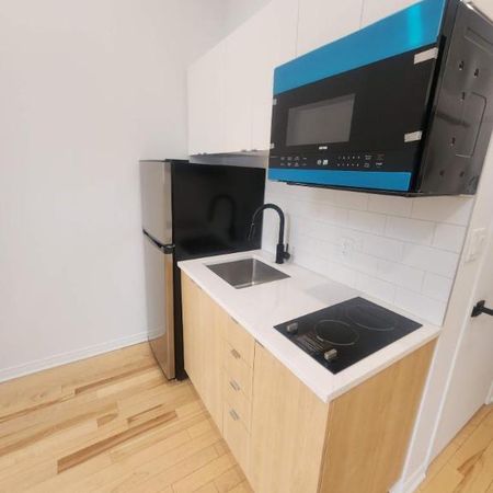 1 CH - 1 SDB - Montréal - $1,195 /mo - Photo 3