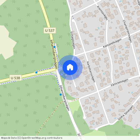 Blodriskevägen, Västerås