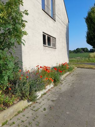 huis met tuin, landelijk open zicht, ecologisch geïnspireerd - Photo 1