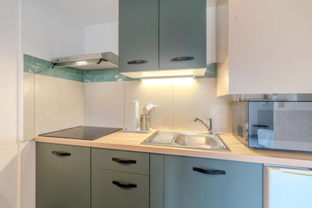Location Appartement 1 pièce Meublé 22m² AIRE SUR L ADOUR 40800 - Photo 4