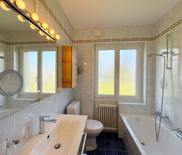 Beautiful apartment 3.5p – 2 CHB / Garden with lake view / Private ... - Photo 6