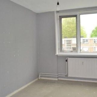 Philip Vingboonsstraat 0ong, 3067 Rotterdam, Nederland - Foto 4
