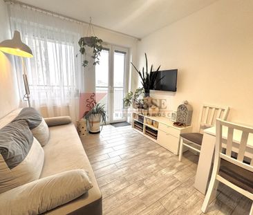 Mieszkanie | Wynajem - Zdjęcie 3