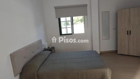 Finca rústica en alquiler en Alcala - Foto 2