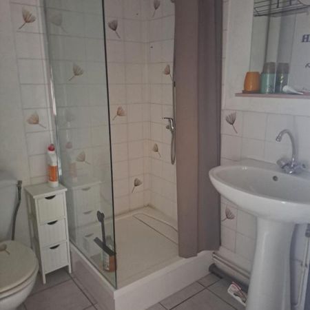 1 PIÈCE MEUBLÉ QUARTIER LAENNEC - Photo 4