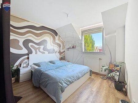 Appartement 3 chambre(s) à louer - Kingersheim - Photo 2