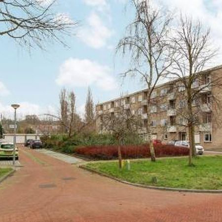 Lievenshof 1816 KJ Alkmaar - Photo 3