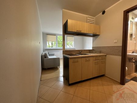 Goleniów centrum kawalerka na wynajem (437959) - Zdjęcie 5