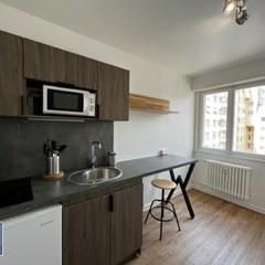 Appartement 1 pièce à Strasbourg - Photo 4