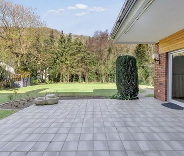 Viel Raum, viel Sonne, viel Leben! - Foto 1