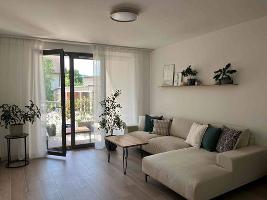 3 Zimmer, 50 m² - Photo 1