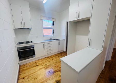 One Bedroom Cutie! - Photo 4