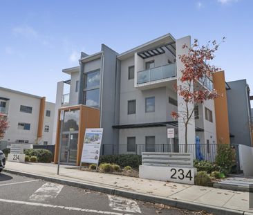 66/234 Flemington Road, Franklin ACT 2913 - Apartment For Rent | Do... - Photo 4