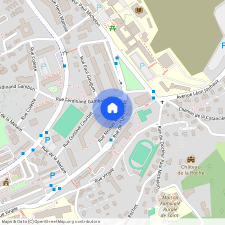 4 RUE NICOLAS MIGNARD, 42100, St Etienne