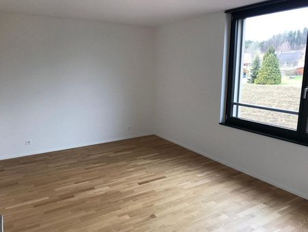 4.5-ZW à 94 m² im schönen Seeland - Photo 5