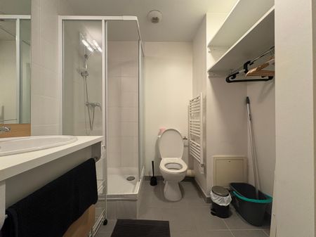 Location Appartement 1 pièce 19m² GRENOBLE 38000 - Photo 4