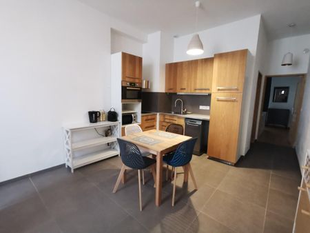 Location Appartement 2 pièces Meublé 39m² CHAMBERY 73000 - Photo 2