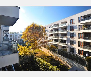 Szczecin - Zdjęcie 6