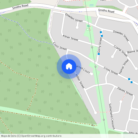 13 Hillier Street, Qld 4300, Goodna