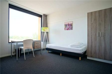 Studio à Cederlaan 244, Eindhoven - À Louer - Photo 2