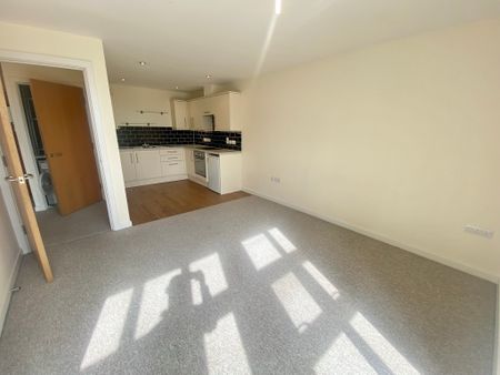 1 Bedroom - Photo 4