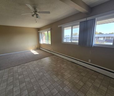 2 BEDROOM, 1 BATH, TOP FLOOR CONDO IN THE COMMUNITY OF BEVERLY HEIGHTS - Photo 5