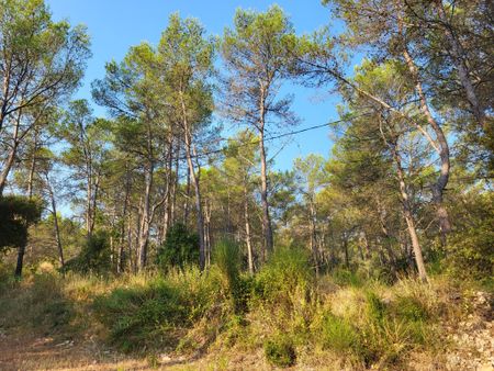 CABANON T1 MEUBLE - Photo 4