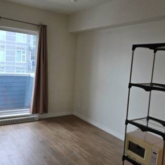 Affordable bachelor suite - Photo 1