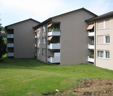 Wir suchen genau Sie - Foto 2