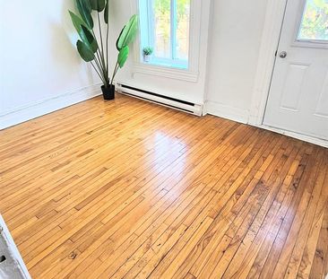 1 CH - 1 SDB - Montréal - $1,250 /mo - Photo 1