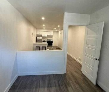 1 CH - 1 SDB - Montréal - $1,195 /mo - Photo 1